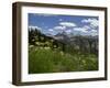 USA, Wyoming. Meadow filled with wildflowers in front of Grand Teton, Teton Mountains-Howie Garber-Framed Photographic Print