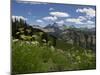USA, Wyoming. Meadow filled with wildflowers in front of Grand Teton, Teton Mountains-Howie Garber-Mounted Photographic Print