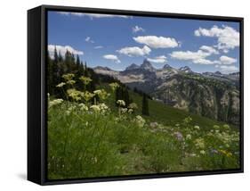 USA, Wyoming. Meadow filled with wildflowers in front of Grand Teton, Teton Mountains-Howie Garber-Framed Stretched Canvas