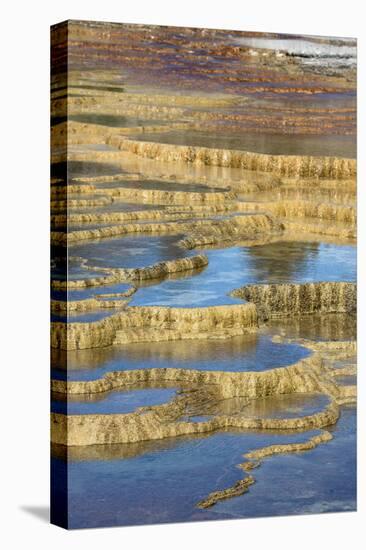 USA, Wyoming. Mineral deposit formation. Mammoth Hot Springs, Yellowstone National Park.-Judith Zimmerman-Stretched Canvas