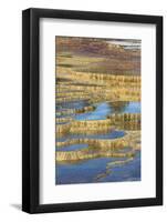 USA, Wyoming. Mineral deposit formation. Mammoth Hot Springs, Yellowstone National Park.-Judith Zimmerman-Framed Photographic Print