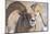 USA, Wyoming, National Elk Refuge, Bighorn Sheep Ram Head Shot-Elizabeth Boehm-Mounted Photographic Print