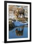 USA, Wyoming, National Elk Refuge. Male Elk Reflects in Stream-Jaynes Gallery-Framed Photographic Print