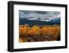 USA, Wyoming. Orange and yellow Aspens with snow-covered Teton Mountains near Jackson Hole.-Howie Garber-Framed Photographic Print