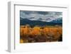 USA, Wyoming. Orange and yellow Aspens with snow-covered Teton Mountains near Jackson Hole.-Howie Garber-Framed Photographic Print