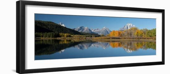 USA, Wyoming. Reflection of Mount Moran and autumn aspens, Grand Teton National Park.-Judith Zimmerman-Framed Photographic Print