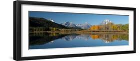 USA, Wyoming. Reflection of Mount Moran and autumn aspens, Grand Teton National Park.-Judith Zimmerman-Framed Photographic Print