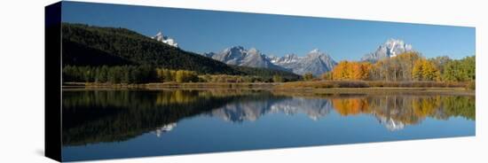 USA, Wyoming. Reflection of Mount Moran and autumn aspens, Grand Teton National Park.-Judith Zimmerman-Stretched Canvas