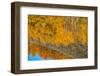 USA, Wyoming. Reflection of mountains and aspen at the Oxbow, Grand Teton National Park.-Judith Zimmerman-Framed Photographic Print