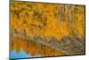 USA, Wyoming. Reflection of mountains and aspen at the Oxbow, Grand Teton National Park.-Judith Zimmerman-Mounted Photographic Print