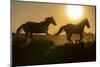 USA, Wyoming. Running wild horses silhouetted at sunset.-Jaynes Gallery-Mounted Photographic Print
