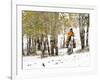 USA, Wyoming, Shell, Big Horn Mountains, Cowboys riding through with fresh snowfall-Terry Eggers-Framed Photographic Print