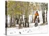 USA, Wyoming, Shell, Big Horn Mountains, Cowboys riding through with fresh snowfall-Terry Eggers-Stretched Canvas