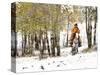 USA, Wyoming, Shell, Big Horn Mountains, Cowboys riding through with fresh snowfall-Terry Eggers-Stretched Canvas