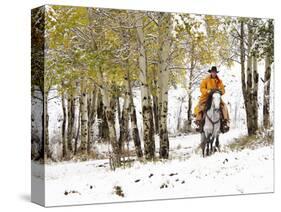 USA, Wyoming, Shell, Big Horn Mountains, Cowboys riding through with fresh snowfall-Terry Eggers-Stretched Canvas