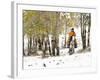 USA, Wyoming, Shell, Big Horn Mountains, Cowboys riding through with fresh snowfall-Terry Eggers-Framed Photographic Print