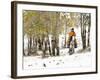 USA, Wyoming, Shell, Big Horn Mountains, Cowboys riding through with fresh snowfall-Terry Eggers-Framed Photographic Print