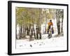 USA, Wyoming, Shell, Big Horn Mountains, Cowboys riding through with fresh snowfall-Terry Eggers-Framed Photographic Print