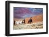 USA, Wyoming, Shell, Big Horn Mountains, Horses at Full Gallop-Terry Eggers-Framed Photographic Print