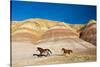 USA, Wyoming, Shell, Heard of Horses Running along the Painted Hills of the Big Horn Mountains-Terry Eggers-Stretched Canvas