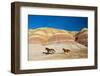 USA, Wyoming, Shell, Heard of Horses Running along the Painted Hills of the Big Horn Mountains-Terry Eggers-Framed Photographic Print