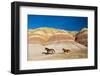 USA, Wyoming, Shell, Heard of Horses Running along the Painted Hills of the Big Horn Mountains-Terry Eggers-Framed Photographic Print