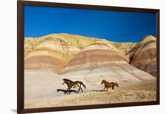 USA, Wyoming, Shell, Heard of Horses Running along the Painted Hills of the Big Horn Mountains-Terry Eggers-Framed Photographic Print