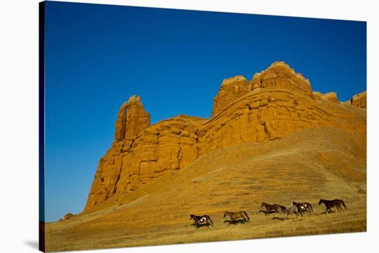 USA, Wyoming, Shell, Heard of Horses Running along the Red Rock hills-Terry Eggers-Stretched Canvas