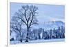 USA, Wyoming, Shell, Hoar Frost in the Valley-Hollice Looney-Framed Photographic Print