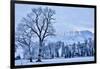 USA, Wyoming, Shell, Hoar Frost in the Valley-Hollice Looney-Framed Photographic Print