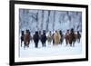 USA, Wyoming, Shell, Horses in the Cold-Hollice Looney-Framed Premium Photographic Print