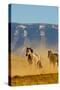 USA, Wyoming, Shell, Horses Running along the Red Rock hills of the Big Horn Mountains-Terry Eggers-Stretched Canvas
