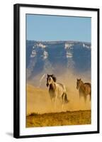 USA, Wyoming, Shell, Horses Running along the Red Rock hills of the Big Horn Mountains-Terry Eggers-Framed Photographic Print