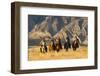 Usa, Wyoming, Shell, The Hideout Ranch, Cowboys and Cowgirls on Horseback-Hollice-Framed Photographic Print