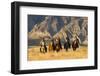 Usa, Wyoming, Shell, The Hideout Ranch, Cowboys and Cowgirls on Horseback-Hollice-Framed Photographic Print