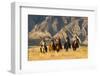 Usa, Wyoming, Shell, The Hideout Ranch, Cowboys and Cowgirls on Horseback-Hollice-Framed Photographic Print