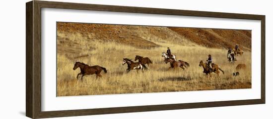 Usa, Wyoming, Shell, The Hideout Ranch, Cowboys Drive the Horses through the Hills-null-Framed Photographic Print
