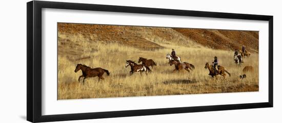 Usa, Wyoming, Shell, The Hideout Ranch, Cowboys Drive the Horses through the Hills-null-Framed Photographic Print