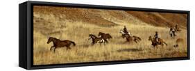 Usa, Wyoming, Shell, The Hideout Ranch, Cowboys Drive the Horses through the Hills-null-Framed Stretched Canvas