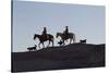 USA, Wyoming, Shell, The Hideout Ranch, Cowboys, Horses and Dogs in Early Light-Hollice Looney-Stretched Canvas