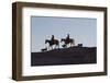 USA, Wyoming, Shell, The Hideout Ranch, Cowboys, Horses and Dogs in Early Light-Hollice Looney-Framed Photographic Print