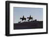 USA, Wyoming, Shell, The Hideout Ranch, Cowboys, Horses and Dogs in Early Light-Hollice Looney-Framed Photographic Print