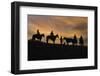 Usa, Wyoming, Shell, The Hideout Ranch, Cowboys in Silhouette at Sunset-Hollice-Framed Photographic Print