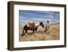 Usa, Wyoming, Shell, The Hideout Ranch, Cowgirl with Lasso Walking with Horse-Hollice-Framed Photographic Print