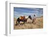 Usa, Wyoming, Shell, The Hideout Ranch, Cowgirl with Lasso Walking with Horse-Hollice-Framed Photographic Print