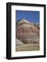 USA, Wyoming, Shell, The Hideout Ranch, Horses Walking in front of Painted Hills-Hollice Looney-Framed Photographic Print