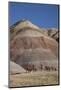 USA, Wyoming, Shell, The Hideout Ranch, Horses Walking in front of Painted Hills-Hollice Looney-Mounted Photographic Print