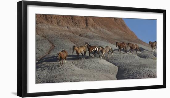 USA, Wyoming, Shell, The Hideout Ranch, Horses Walking the Hillside-Hollice Looney-Framed Photographic Print