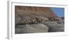 USA, Wyoming, Shell, The Hideout Ranch, Horses Walking the Hillside-Hollice Looney-Framed Photographic Print