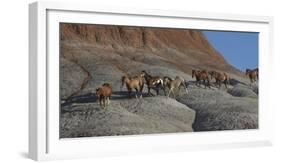 USA, Wyoming, Shell, The Hideout Ranch, Horses Walking the Hillside-Hollice Looney-Framed Photographic Print